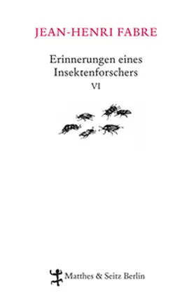 Fabre |  Erinnerungen eines Insektenforschers 06 | Buch |  Sack Fachmedien