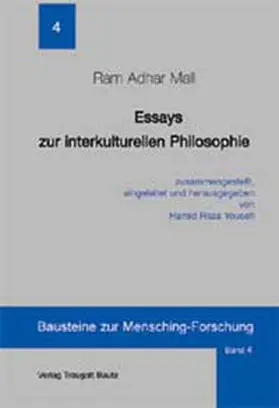 Mall |  Essays zur interkulturellen Philosophie | Buch |  Sack Fachmedien