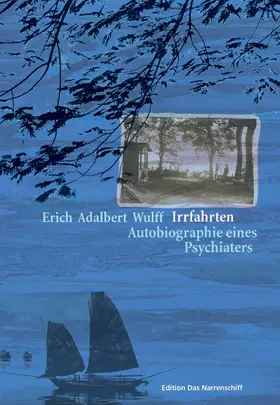 Wulff |  Irrfahrten | Buch |  Sack Fachmedien