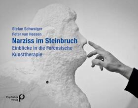 Schwaiger / Heesen |  Narziss im Steinbruch | Buch |  Sack Fachmedien