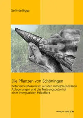 Bigga / Daim / Nicholas J. |  Die Pflanzen von Schöningen | Buch |  Sack Fachmedien