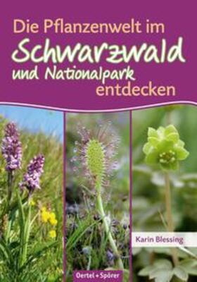 Blessing |  Die Pflanzenwelt im Schwarzwald und Nationalpark entdecken | Buch |  Sack Fachmedien