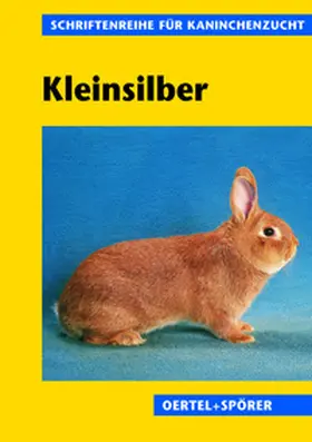  Kleinsilber | Buch |  Sack Fachmedien