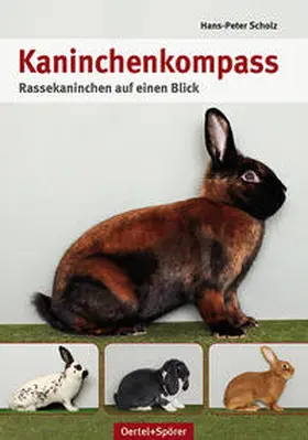 Scholz |  Kaninchen-Kompass | Buch |  Sack Fachmedien