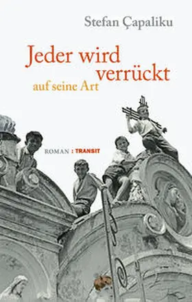 Çapaliku / C¸apaliku |  Jeder wird verrückt auf seine Art | Buch |  Sack Fachmedien