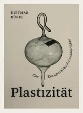 Rübel |  Plastizität | Buch |  Sack Fachmedien