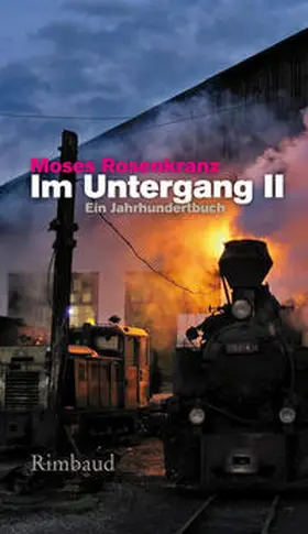 Rosenkranz |  Im Untergang II | Buch |  Sack Fachmedien