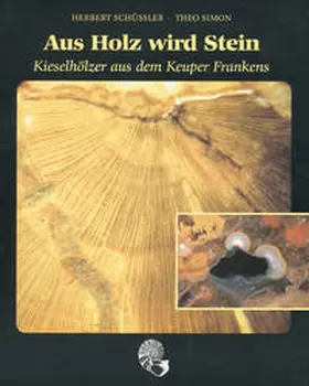 Schüssler |  Aus Holz wird Stein | Buch |  Sack Fachmedien