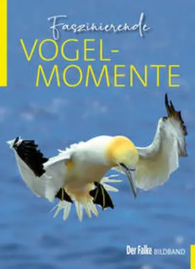 Schäffer / Fünfstück | Faszinierende Vogelmomente | Buch | 978-3-89104-829-0 | sack.de