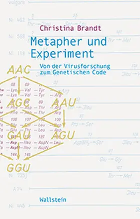 Brandt |  Metapher und Experiment | Buch |  Sack Fachmedien