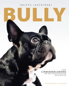 Jaschinski / Carstensen |  Bully | Buch |  Sack Fachmedien