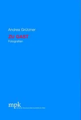 Höfchen / Museum Pfalzgalerie Kaiserslautern |  Pfalzpreis. Ausstellungskatalog / Andrea Grützner - Zu Gast | Buch |  Sack Fachmedien