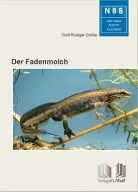 Große |  Der Fadenmolch | Buch |  Sack Fachmedien