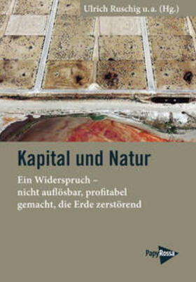 Bensch / Hollewedde / Ruschig |  Kapital und Natur | Buch |  Sack Fachmedien