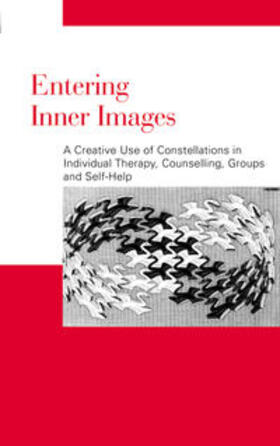 Madelung / Innecken |  Entering Inner Images | Buch |  Sack Fachmedien