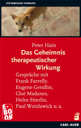 Hain |  Das Geheimnis therapeutischer Wirkung | eBook | Sack Fachmedien