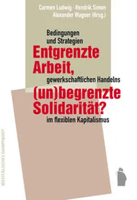 Ludwig / Simon / Wagner |  Entgrenzte Arbeit, (un-)begrenzte Solidarität? | Buch |  Sack Fachmedien