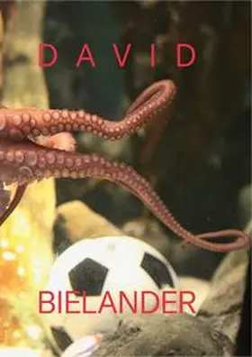 Hufnagl / Unger / Veiteberg |  David Bielander | Buch |  Sack Fachmedien