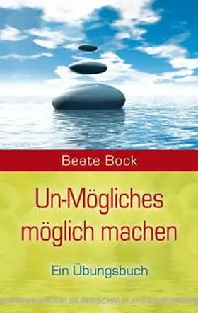 Bock |  Un-Mögliches möglich machen | Buch |  Sack Fachmedien