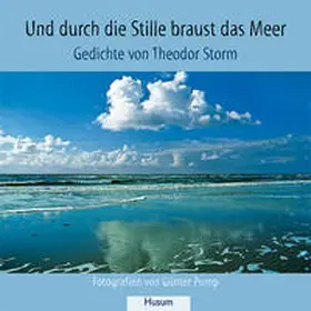 Storm |  Und durch die Stille braust das Meer | Buch |  Sack Fachmedien