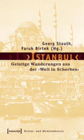 Stauth / Birtek |  ›Istanbul‹ | Buch |  Sack Fachmedien