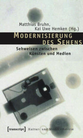 Bruhn / Hemken |  Modernisierung des Sehens | Buch |  Sack Fachmedien