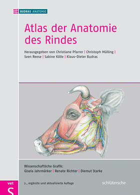 Mülling / Reese / Budras |  Atlas der Anatomie des Rindes | Buch |  Sack Fachmedien