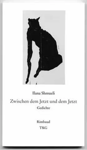 Shmueli / Schablewski |  Zwischen dem Jetzt und dem Jetzt | Buch |  Sack Fachmedien