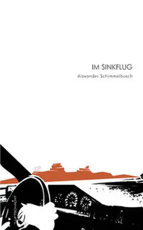 Schimmelbusch |  Im Sinkflug | Buch |  Sack Fachmedien