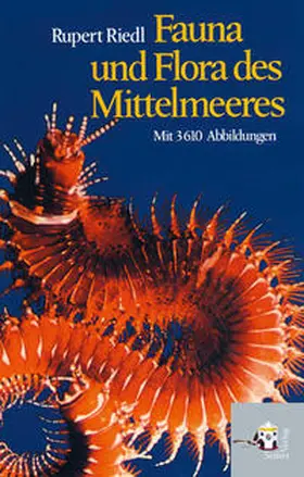 Riedl / Schweder-Riedl |  Fauna und Flora des Mittelmeeres | Buch |  Sack Fachmedien