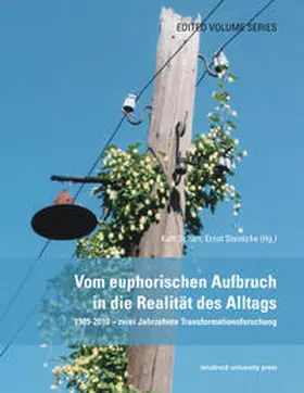 Scharr / Steinicke |  Vom euphorischen Aufbruch in die Realität des Alltags | Buch |  Sack Fachmedien