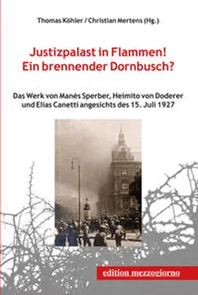 Köhler / Mertens |  Justizpalast in Flammen! Ein brennender Dornbusch? | Buch |  Sack Fachmedien