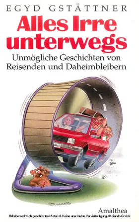 Gstättner |  Alles Irre unterwegs | eBook | Sack Fachmedien