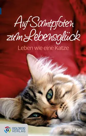 Kail |  Auf Samtpfoten zum Lebensglück - Taschenbuchausgabe | Buch |  Sack Fachmedien