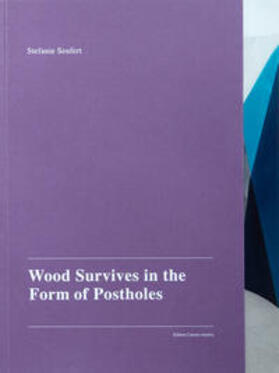 Seufert / Braun / Panhans |  Wood Survives in the Form of Postholes | Buch |  Sack Fachmedien