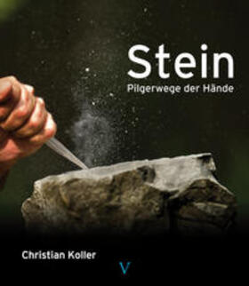 Koller |  Stein | Buch |  Sack Fachmedien