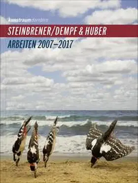 Amir / Kunstraum Dornbirn / Häusle |  Steinbrener/Dempf & Huber | Buch |  Sack Fachmedien