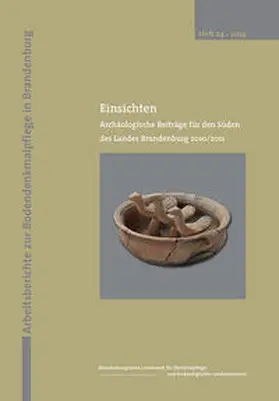 Irrgang / Agthe / Bauer |  Einsichten | Buch |  Sack Fachmedien