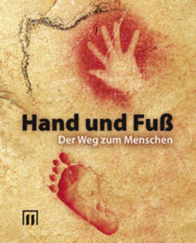 Engelhardt / Kötter |  Hand und Fuß | Buch |  Sack Fachmedien