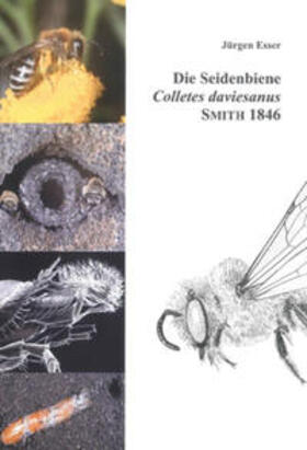 Esser |  Die Seidenbiene Colletes daviesanus Smith 1846 | Buch |  Sack Fachmedien