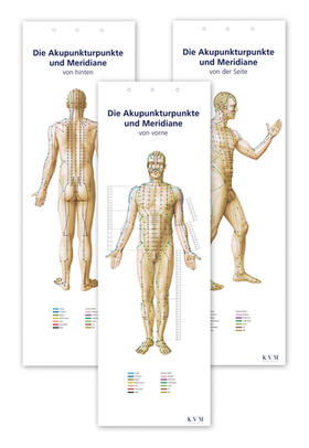 Kolster |  Akupunktur-Poster-Set | Sonstiges |  Sack Fachmedien