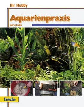 Degen / Schmidt |  Aquarienpraxis | Buch |  Sack Fachmedien