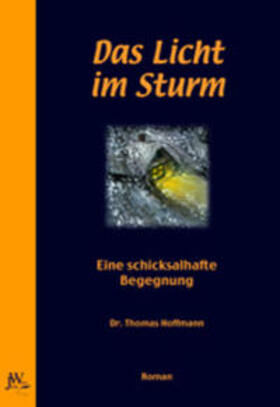 Hoffmann |  Das Licht im Sturm | Buch |  Sack Fachmedien