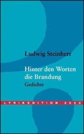 Steinherr |  Hinter den Worten die Brandung | Buch |  Sack Fachmedien