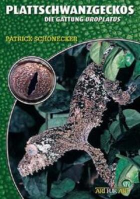 Schönecker |  Plattschwanzgeckos | Buch |  Sack Fachmedien