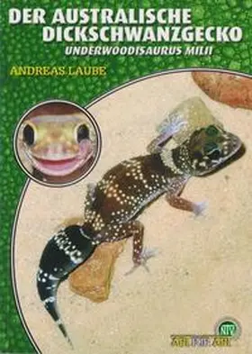 Laube | Der Australische Dickschwanzgecko | Buch | 978-3-937285-96-2 | sack.de