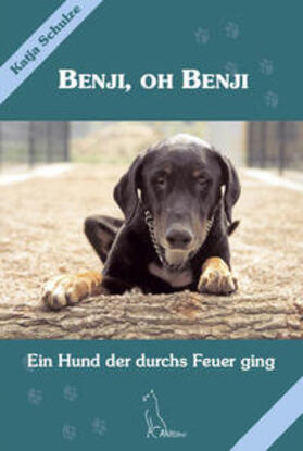 Schulze |  Benji, oh Benji | Buch |  Sack Fachmedien