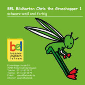 Baylie / Schweizer |  Learning English with Chris the Grashopper Bildkarten CD-ROM 1 | Sonstiges |  Sack Fachmedien