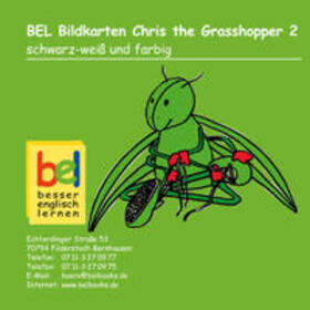Baylie / Schweizer |  Learning English with Chris the Grashopper Bildkarten CD-ROM 2 | Sonstiges |  Sack Fachmedien