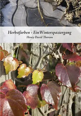 Thoreau / Schaup |  Herbstfarben·Ein Winterspaziergang | Buch |  Sack Fachmedien